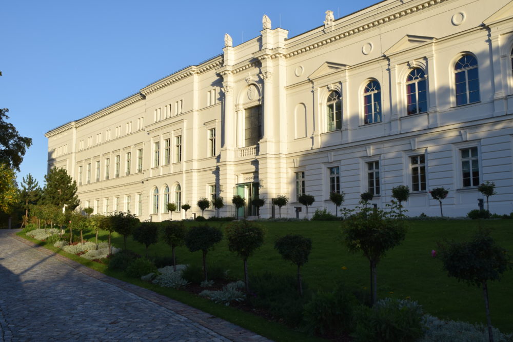 AGM 2019: International Conference and Anniversary Annual General Meeting of the Global Young Academy