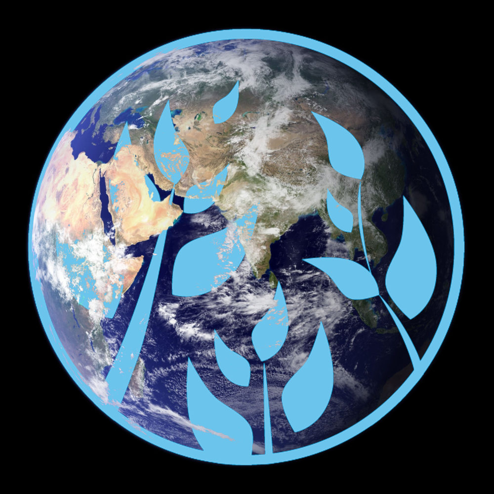 The flat earth international on sale conference