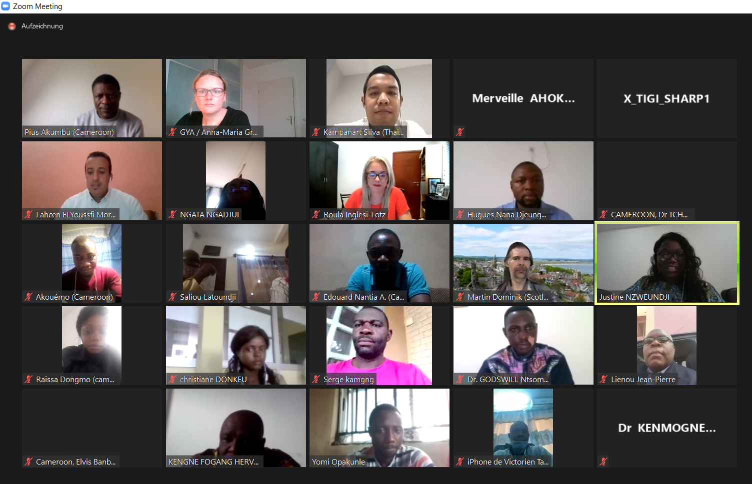 Screenshot from Webinar on the Role of Young Academies in the Development of Africa, October 2020.