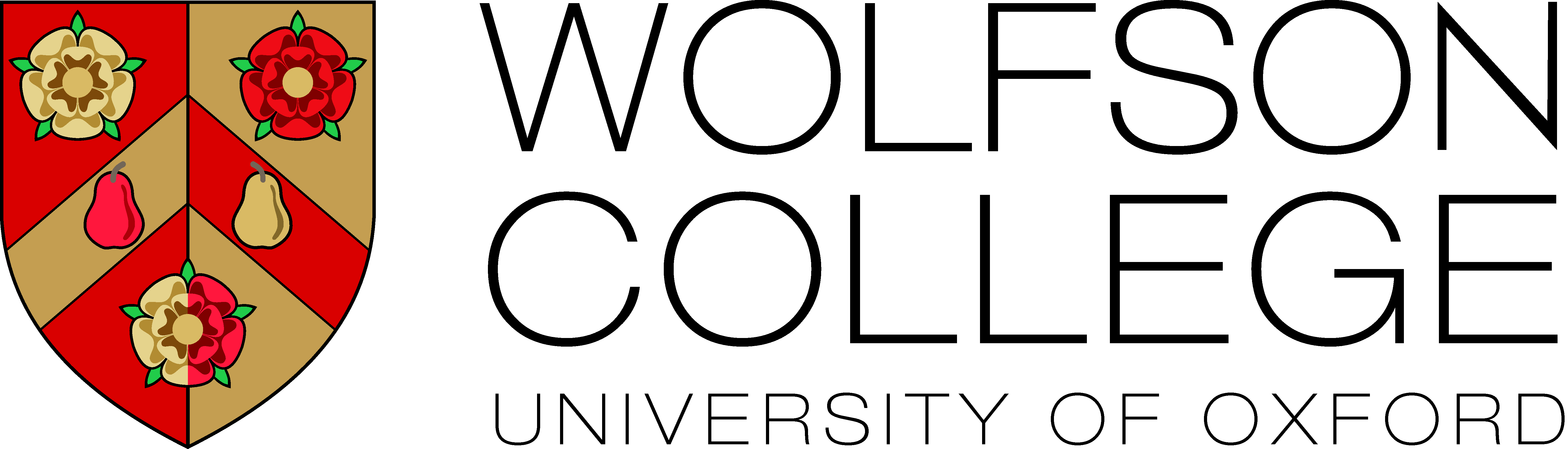 Partners Global Young Academy