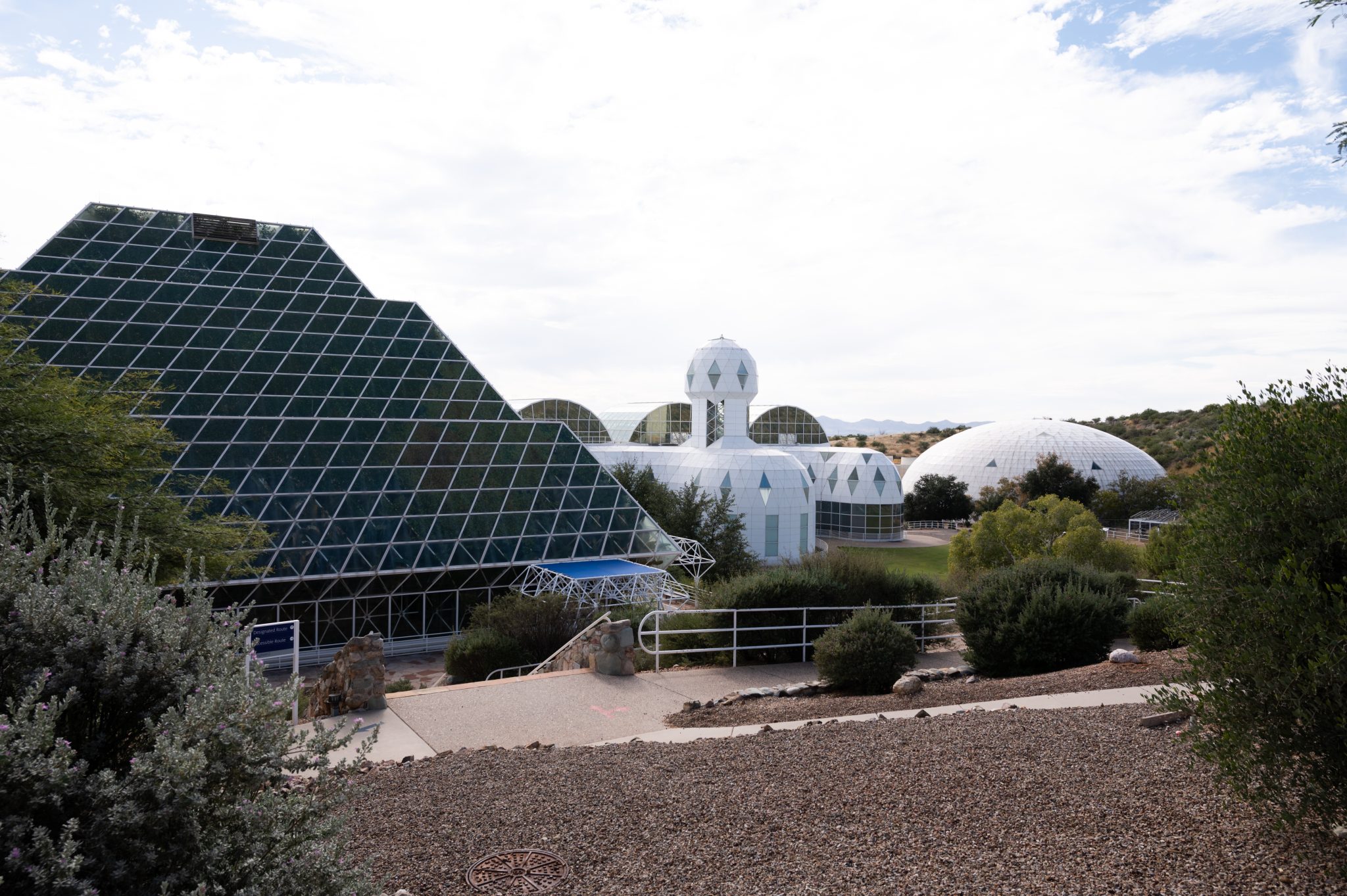 National Young Academies Global Young Academy