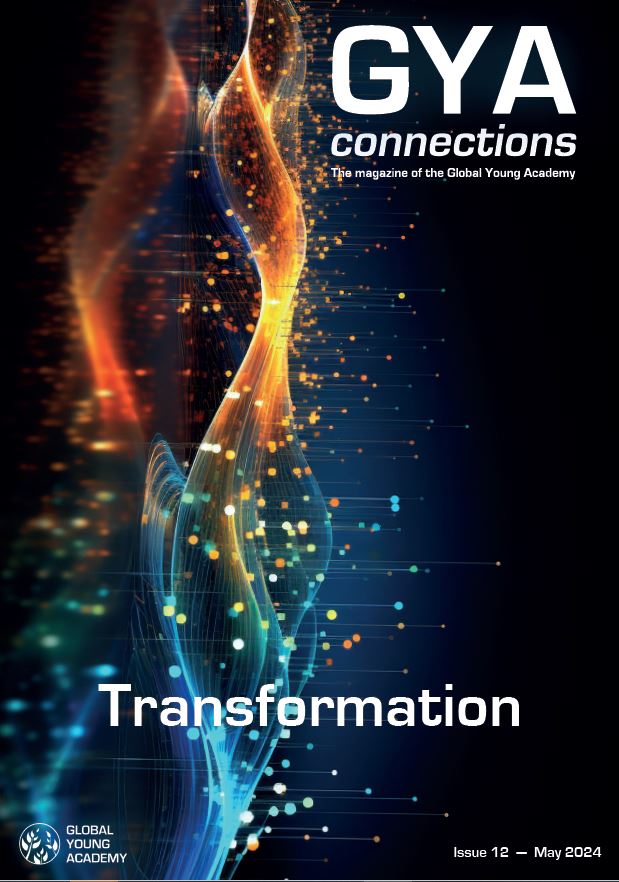 Connections 12 cover