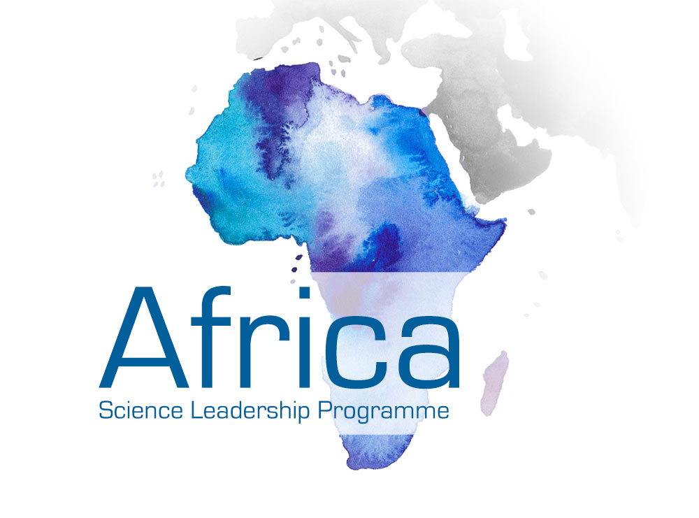 Schematic image of the world region for the Africa SLP